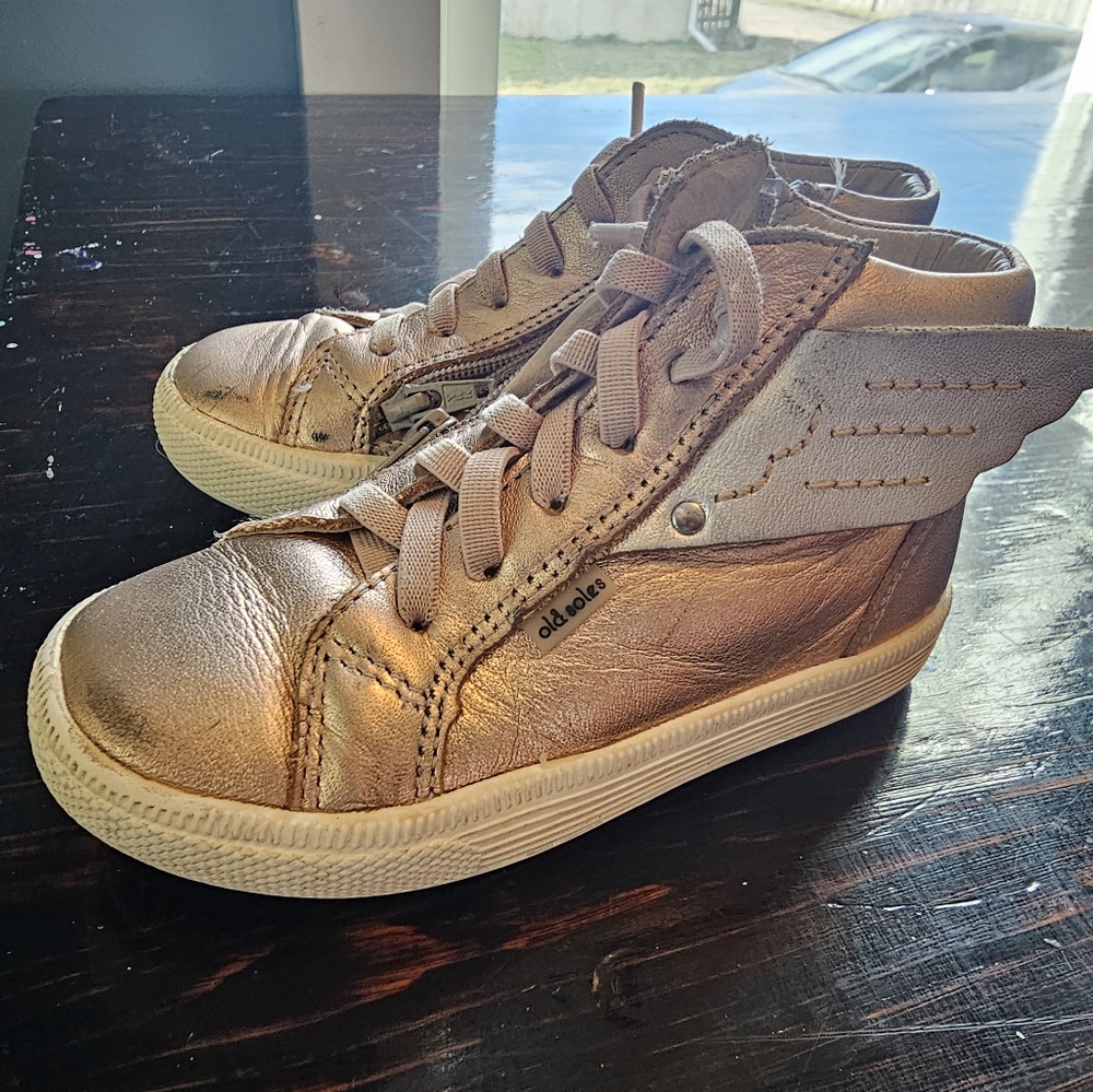 Old soles leather hightops with wings